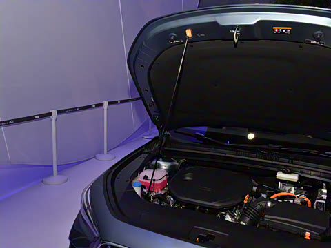 2026�� 125km�ǽ���