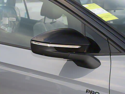 2025�� ������������ʿPRO��