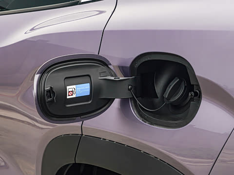 2026�� DM-i 310KM ׿Խ��