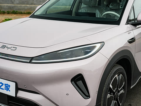 2026�� DM-i 305�Ǻ���