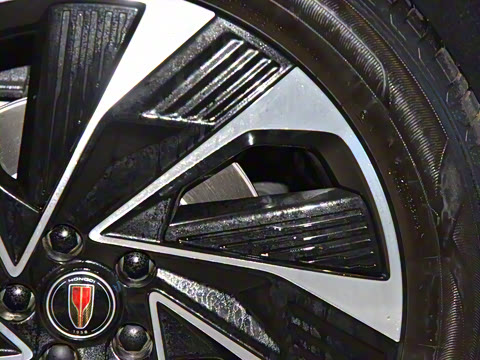 2025�� 2.0T PHEV ���������� 6��