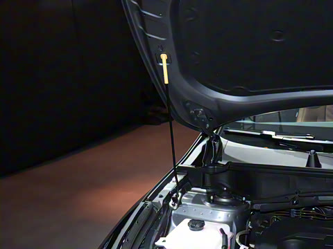 2026�� ���������