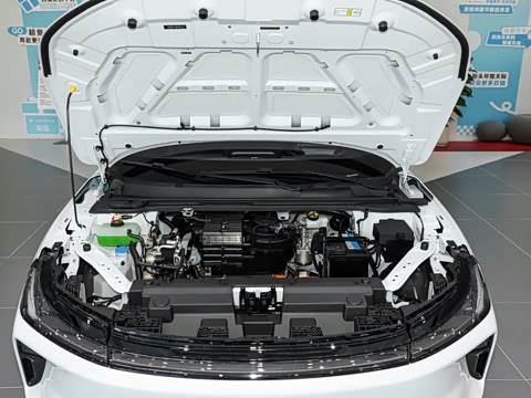 2026�� 535 MAX�����