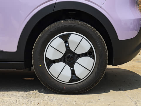 2026�� 310km ������
