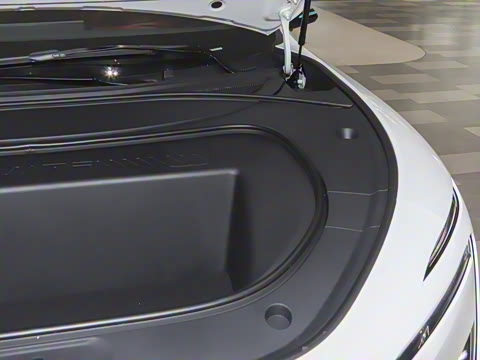 2026�� Max �����