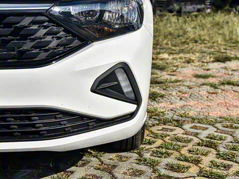 2025�� �Ŀ� 1.5L �Զ���ȡ��