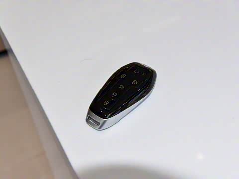 2025�� DM-i ��������