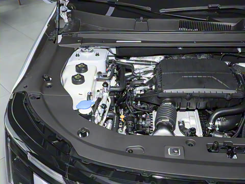 2026�� 121km ������ 5��