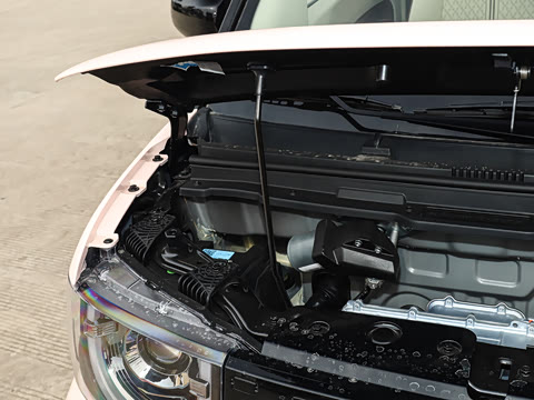 2026�� ��Ȥ��