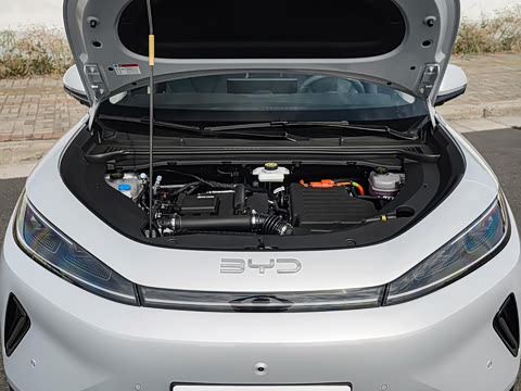 2026�� DM-i 305�Ǻ���