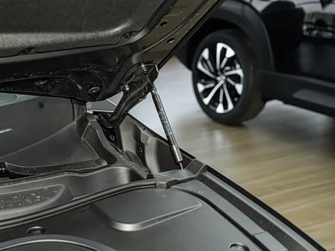 2026�� ����200 Pro�˶���