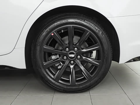 2025�� 28T �������ܰ�