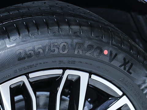 2026�� ���� ����Max��