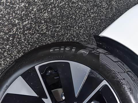 2026�� L 300TSI DSG ��Ӣ��