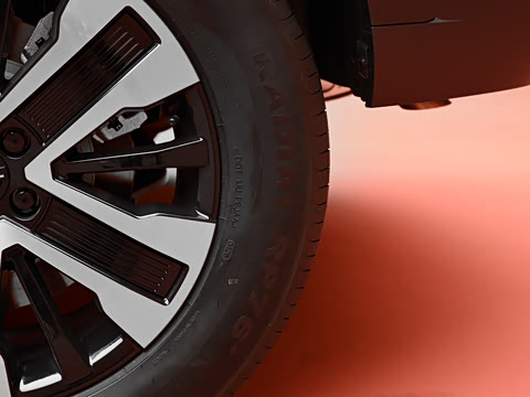 2026�� 255km ������