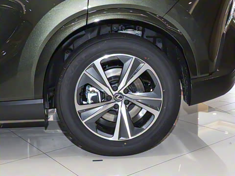 2025�� 350h ����������