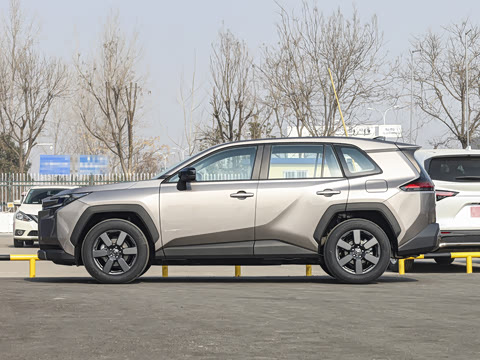 2026�� ˫�� 2.5L ����������