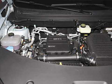 2026�� DM-i 220KM׿Խ��