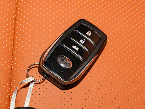 2025�� 9����ʨ ������