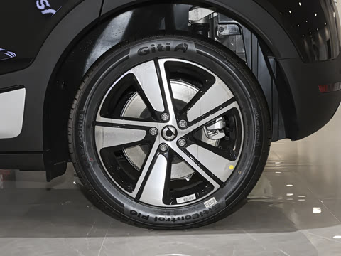 2026�� �鶯��������