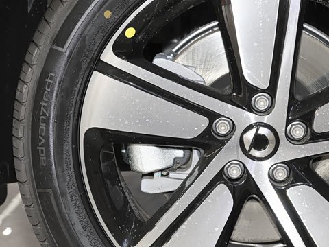 2026�� �鶯��������