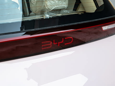 2026�� 305km ���ɰ�
