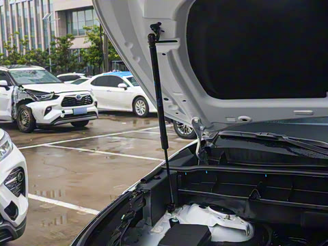 2026�� 2.5L���ܵ��˫���������� 7��