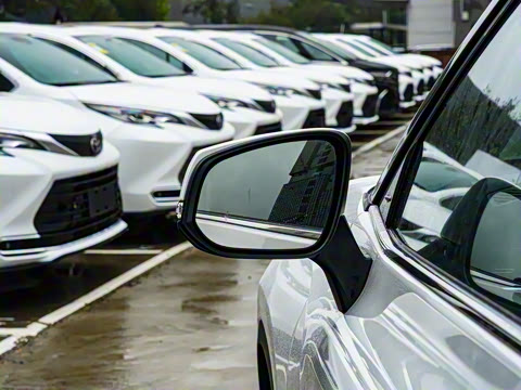 2026�� 2.5L���ܵ��˫���������� 7��