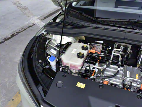 2025�� 565km ������