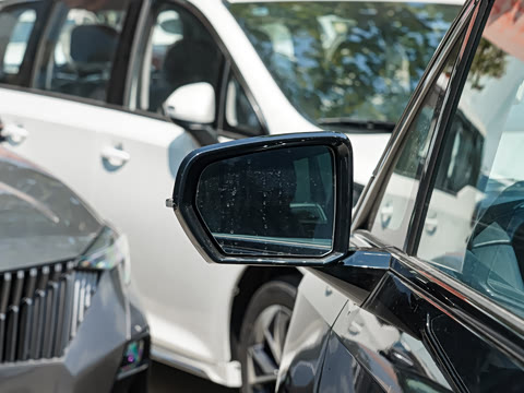 2025�� �������հ�