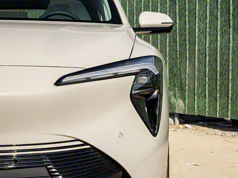 2025�� ������