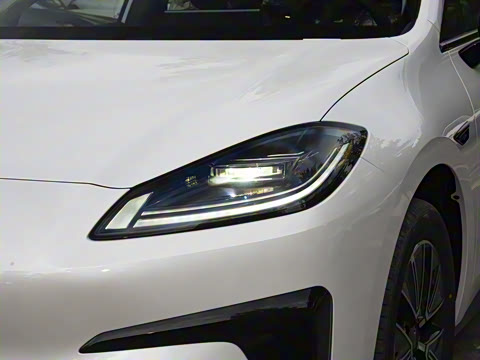 2026�� 520�Ǻ���