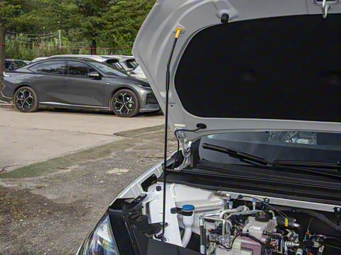 2026�� 520�Ǻ���