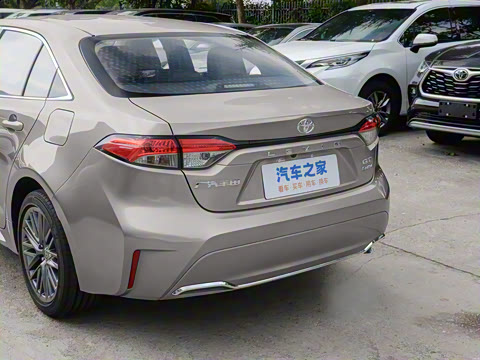 2024�� ���ܵ��˫�� 2.0L ������