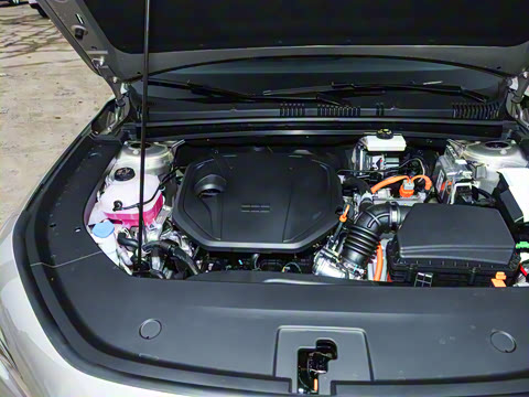 2026�� 60km̽����