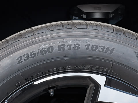 2026�� ����������