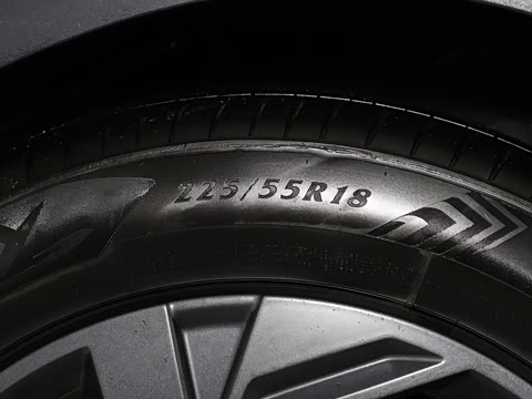 2026�� Ӱ�� 270T ������