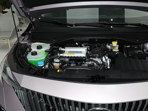 2026�� Ӱ�� 270T ������