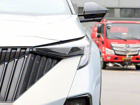 2026�� Ӱ�� 270T ������