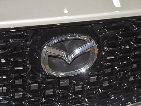 2025�� 2.0L �Զ�����������