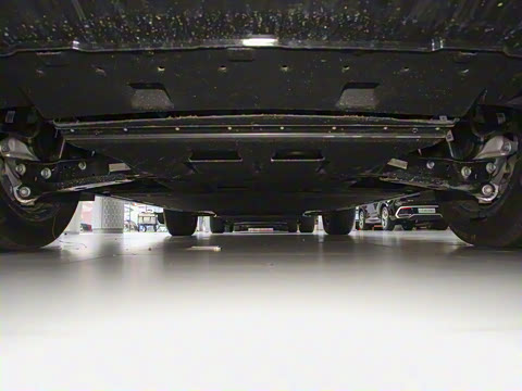 2025�� 520 Max������