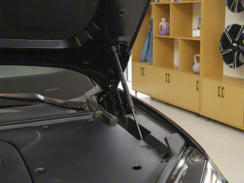 2025�� 520 Max������