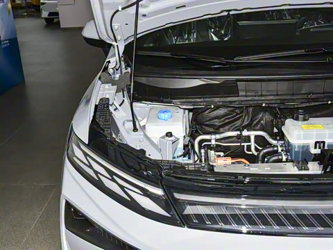 2026�� ������������