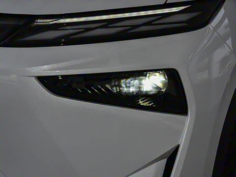 2026�� ������������