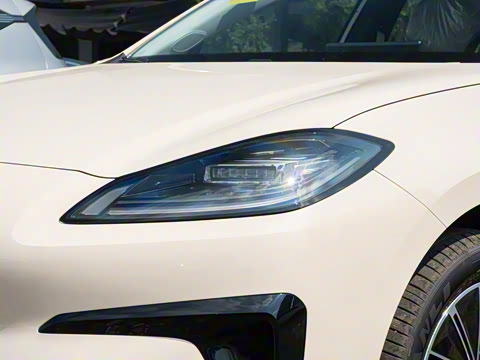 2026�� 520�Ǻ���