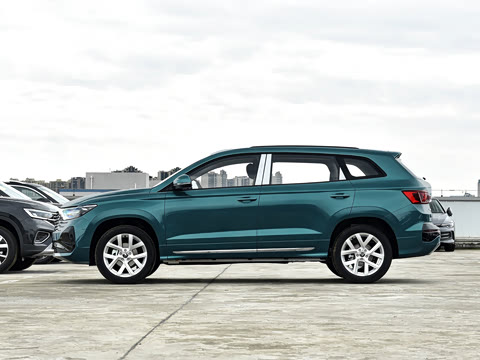 2026�� 280TSI �Զ��ȷ��