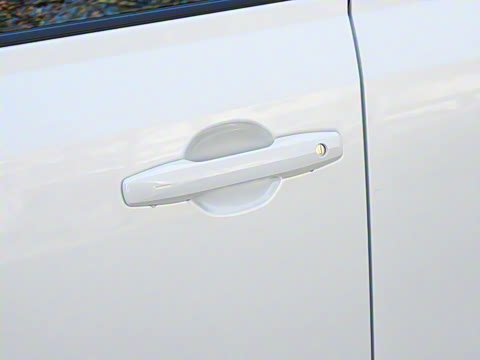 2026�� 2.0L ����������