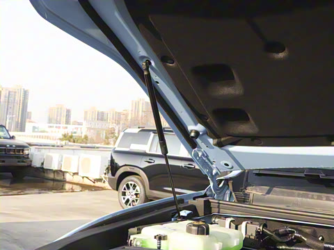 2025�� Ԫ�����а�