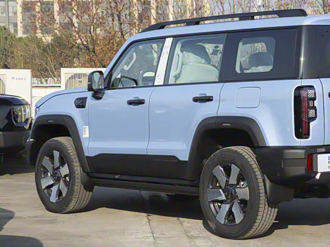 2025�� Ԫ�����а�