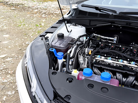 2026�� 1.5L �������� ������